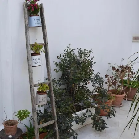 Pensionat A Casa Di Mich